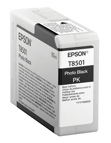 T850100 Epson 850 Photo Black Original Ink Cartridge